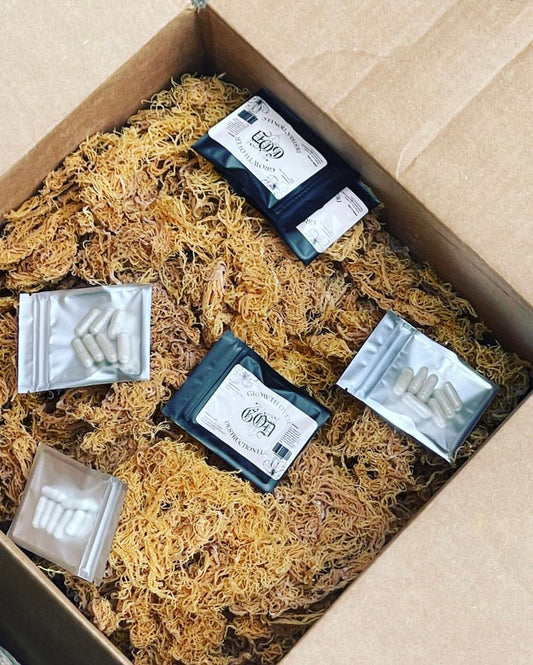 Sea Moss Capsules
