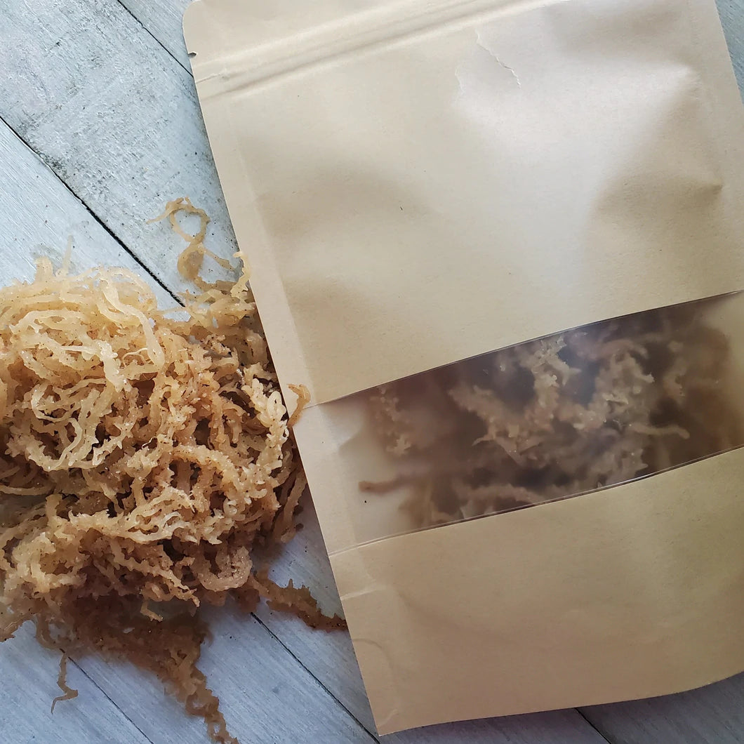 Raw Wildcrafted Gold Sea Moss